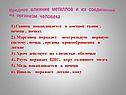 Вредное влияние металлов и их соединений на организм человека