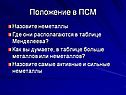 Положение в ПСМ
