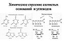 Химическое строение