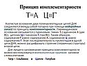 Принцип комплементарности