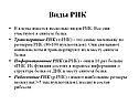Виды РНК