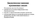 Биологическое значение нуклеиновых кислот