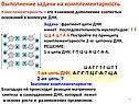 Задачи на комплементарность