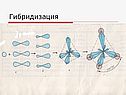 Органическая химия