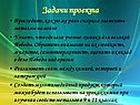 Задачи проекта