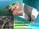 Оружия из металла