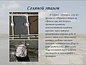 Соляной эталон