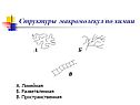 Структуры макромолекул по химии