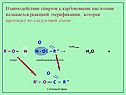 Взаимодействие спиртов с карбоновыми кислотами