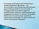 Кислород необходим практически всем живым существам