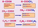 Метановая (муравьиная) кислота