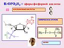 Эфиры фосфорной кислоты