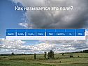 Поле