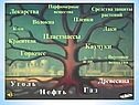 Роль химии в жизни общества