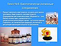 Тема №3