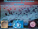 Обезвоживание организма человека