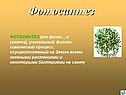 Фотосинтез