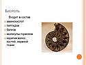 Биороль