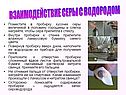 Взаимодействие серы с водородом
