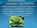 Серебро в организме