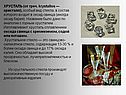 ХРУСТАЛЬ (от греч