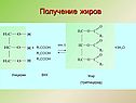 Получение жиров