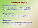 Функции жиров