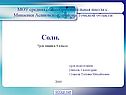 «Соли» химия 8 класс