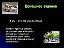 Домашнее задание