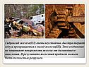 Гидроксид железа(III) очень неустойчив