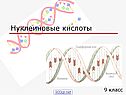Нуклеиновые кислоты
