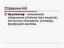 Строение НК