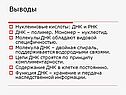 Полимер