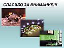 Спасибо за внимание