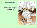 Круговорот углерода в природе