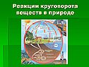 Реакции круговорота веществ в природе