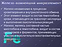 Железо–важнейший микроэлемент