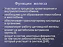 Функции железа