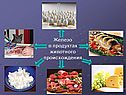 Железо в продуктах животного происхождения