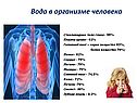 Вода в организме человека
