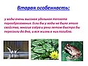 У воды очень высокая удельная теплота парообразования