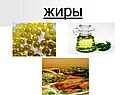 «Жиры» химия