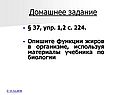 Домашнее задание
