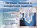 Организм человека и минеральные вещества