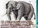 Что значит дарить фигурки слонов