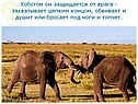 Бросает под ноги и топчет