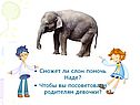 Сможет ли слон помочь Наде