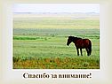 Спасибо за внимание