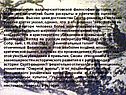 Противоречия