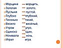 Морщина